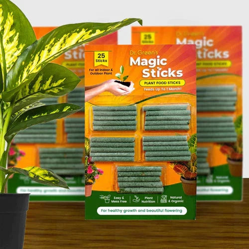 Dr.Green's - Magic Plant Sticks (25 Sticks)